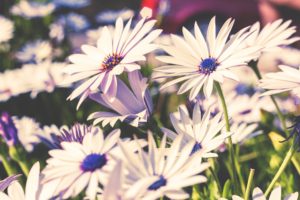 baher-khairy-95787-unsplash